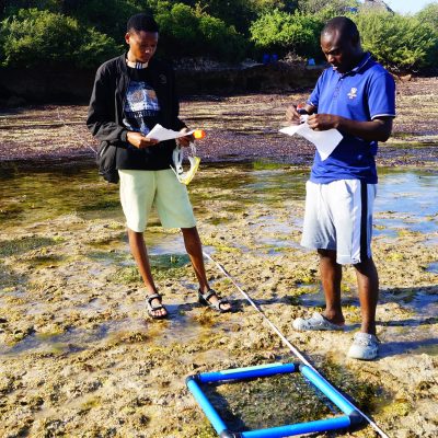 seagrass conservation